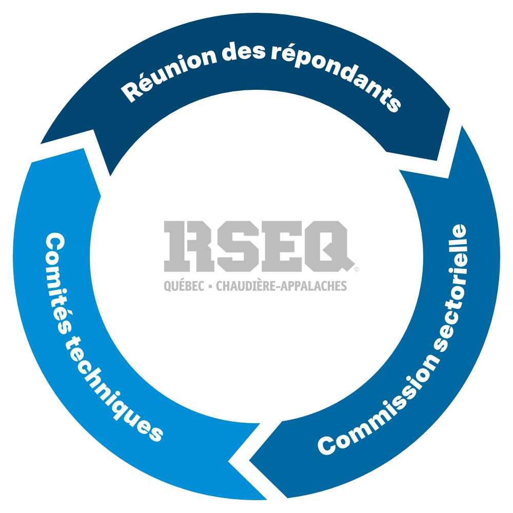Processus décisionnel du RSEQ-QCA